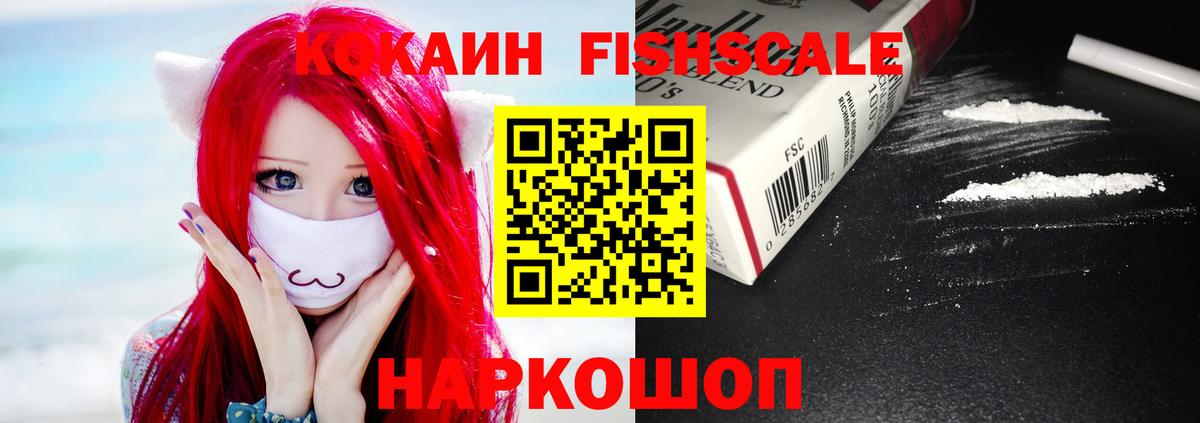 COCAIN  Вход с VPN  Ростов Великий  Cocaine Fish Scale 