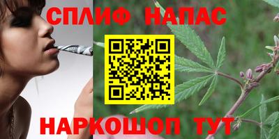 spice Бузулук