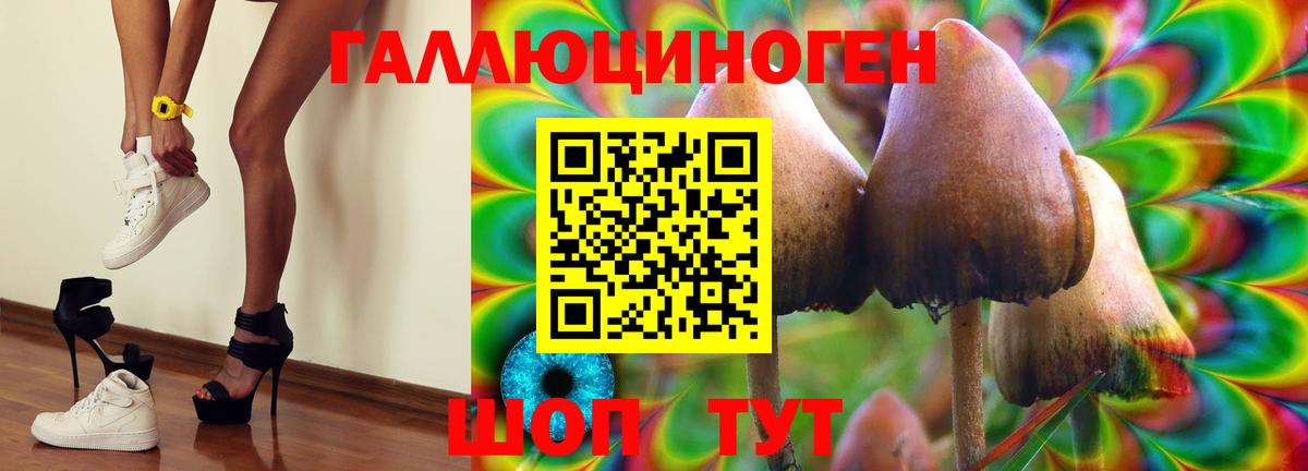 Галлюциногенные грибы мицелий Ростов Великий